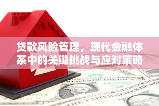 柳河贷款风险管理，现代金融体系中的关键挑战与应对策略