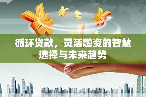 柳河循环贷款，灵活融资的智慧选择与未来趋势