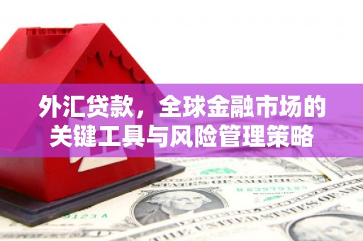 柳河外汇贷款，全球金融市场的关键工具与风险管理策略
