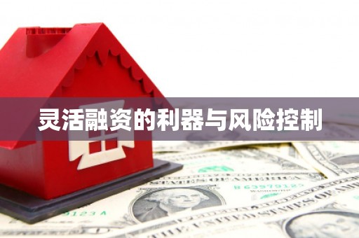 柳河灵活融资的利器与风险控制