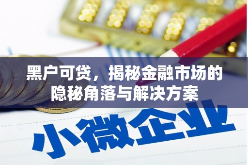柳河黑户可贷，揭秘金融市场的隐秘角落与解决方案