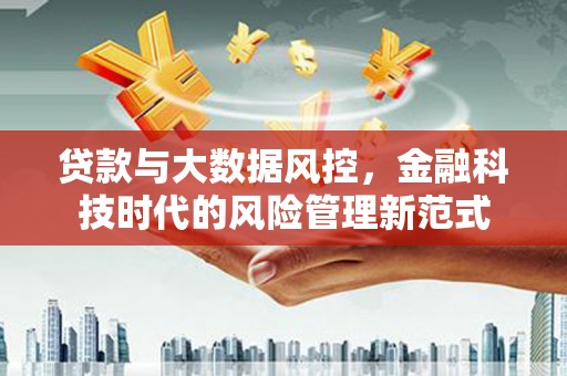 柳河贷款与大数据风控，金融科技时代的风险管理新范式