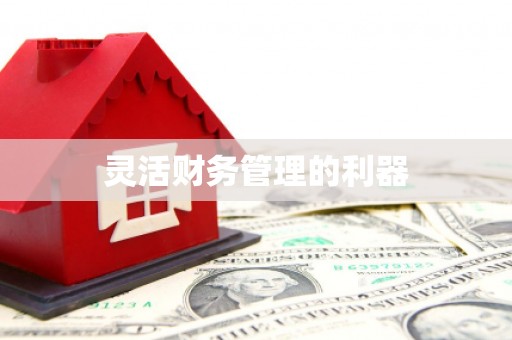 柳河灵活财务管理的利器