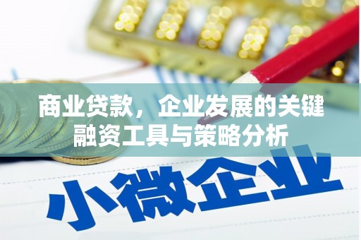 柳河商业贷款，企业发展的关键融资工具与策略分析