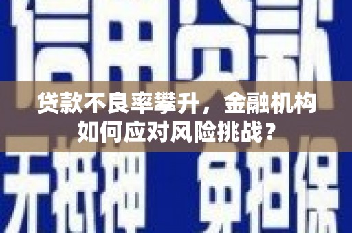 柳河贷款不良率攀升，金融机构如何应对风险挑战？