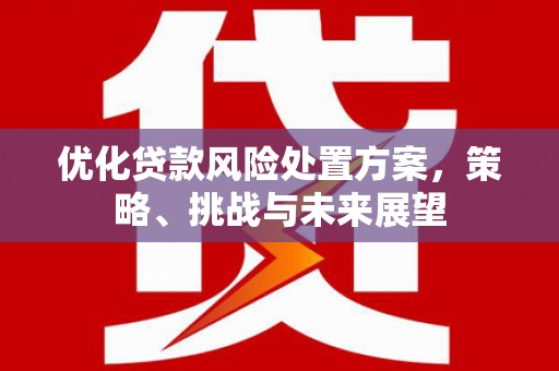柳河优化贷款风险处置方案，策略、挑战与未来展望