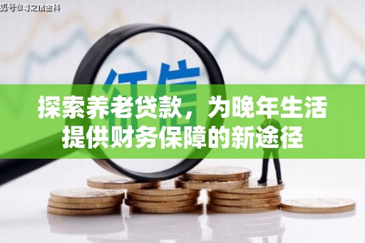 柳河探索养老贷款，为晚年生活提供财务保障的新途径