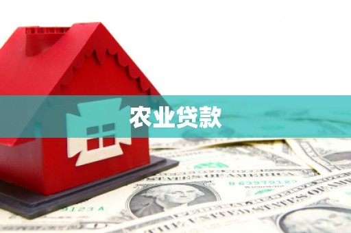 柳河农业贷款