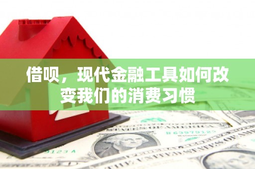 柳河借呗，现代金融工具如何改变我们的消费习惯