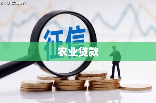 柳河农业贷款