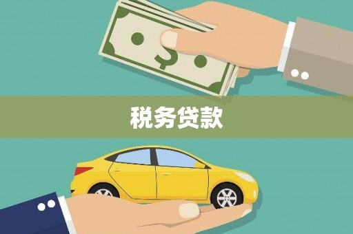 柳河税务贷款