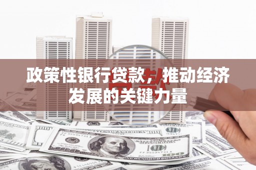 柳河政策性银行贷款，推动经济发展的关键力量