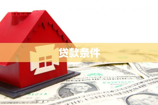 柳河贷款条件