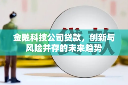 柳河金融科技公司贷款，创新与风险并存的未来趋势