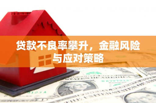 柳河贷款不良率攀升，金融风险与应对策略