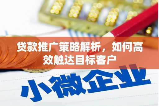 柳河贷款推广策略解析，如何高效触达目标客户