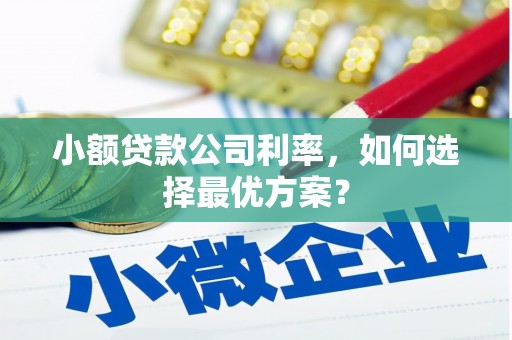 柳河小额贷款公司利率，如何选择最优方案？