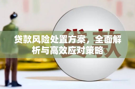 柳河贷款风险处置方案，全面解析与高效应对策略