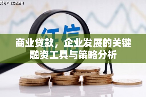 柳河商业贷款，企业发展的关键融资工具与策略分析