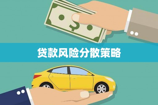 柳河贷款风险分散策略