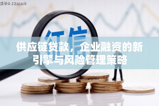 柳河供应链贷款，企业融资的新引擎与风险管理策略