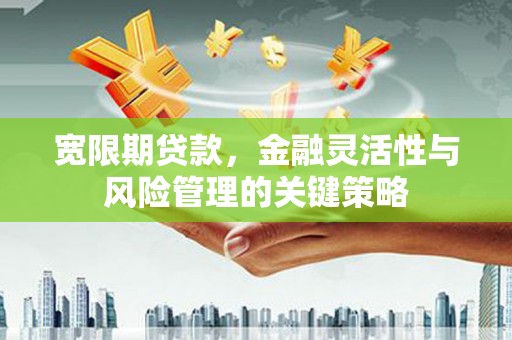 柳河宽限期贷款，金融灵活性与风险管理的关键策略
