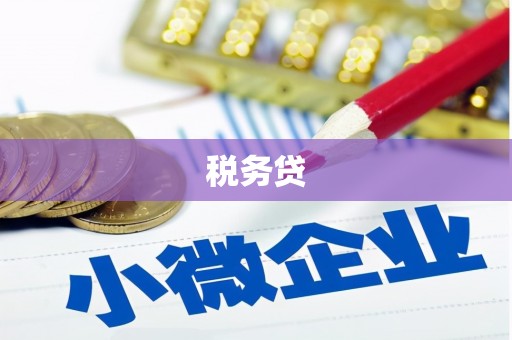 柳河税务贷