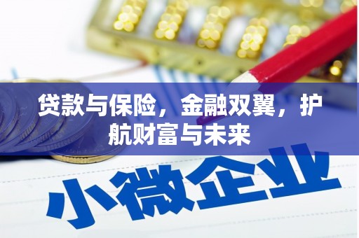 柳河贷款与保险，金融双翼，护航财富与未来