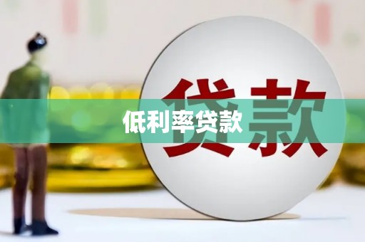 柳河低利率贷款
