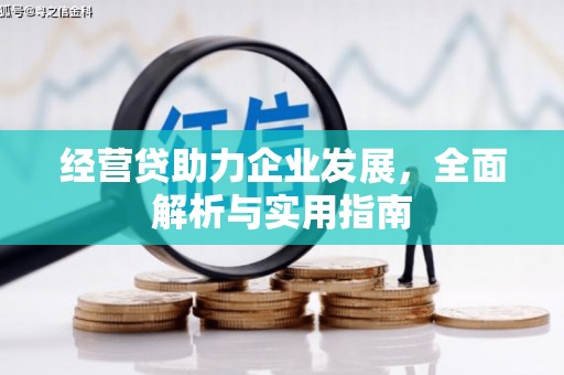 柳河经营贷助力企业发展，全面解析与实用指南