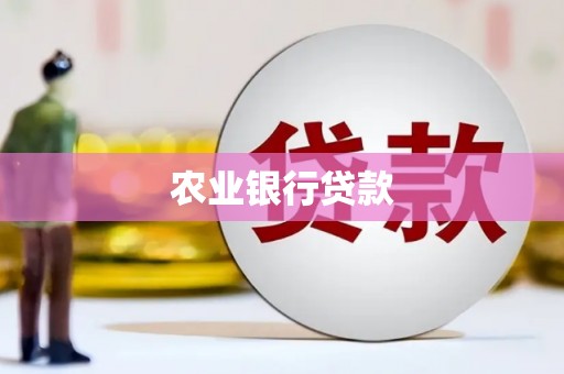 柳河农业银行贷款