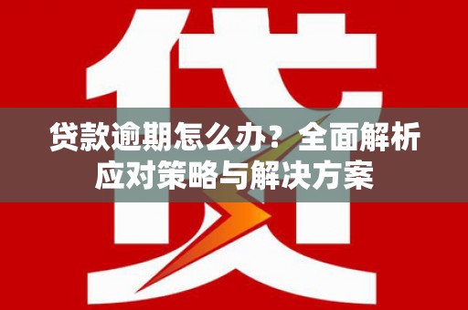 柳河贷款逾期怎么办？全面解析应对策略与解决方案