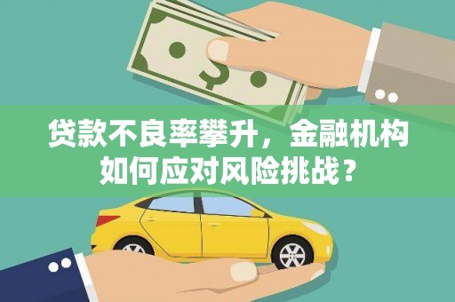 柳河贷款不良率攀升，金融机构如何应对风险挑战？