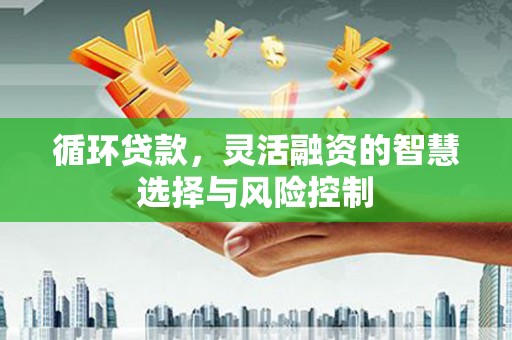 柳河循环贷款，灵活融资的智慧选择与风险控制