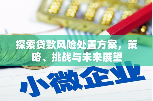 柳河探索贷款风险处置方案，策略、挑战与未来展望