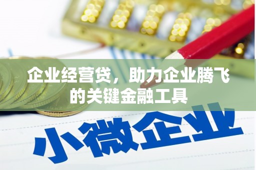 柳河企业经营贷，助力企业腾飞的关键金融工具