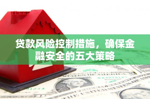 柳河贷款风险控制措施，确保金融安全的五大策略