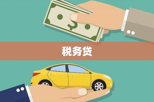 柳河税务贷