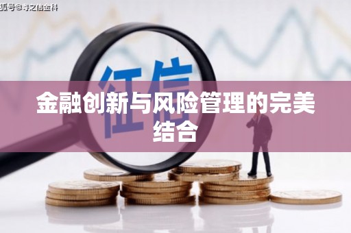 柳河金融创新与风险管理的完美结合