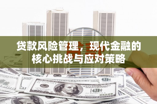 柳河贷款风险管理，现代金融的核心挑战与应对策略