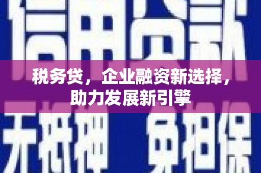 柳河税务贷，企业融资新选择，助力发展新引擎