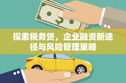 柳河探索税务贷，企业融资新途径与风险管理策略