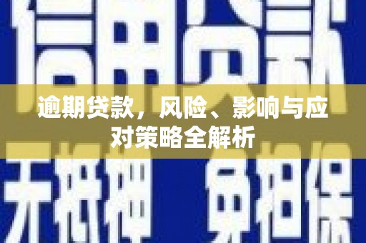 柳河逾期贷款，风险、影响与应对策略全解析