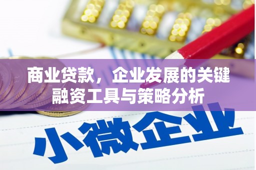 柳河商业贷款，企业发展的关键融资工具与策略分析