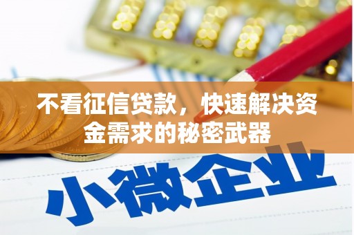 柳河不看征信贷款，快速解决资金需求的秘密武器