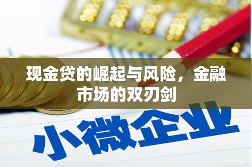 柳河现金贷的崛起与风险，金融市场的双刃剑