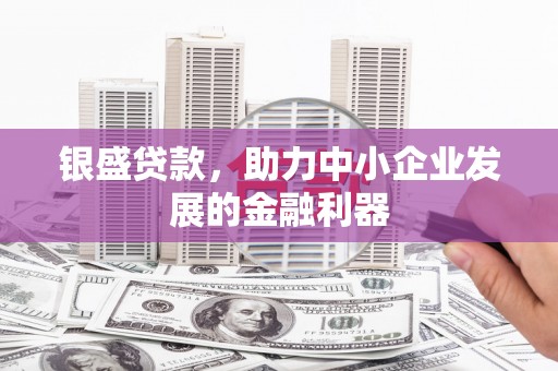 柳河银盛贷款，助力中小企业发展的金融利器