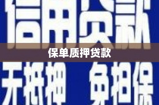柳河保单质押贷款