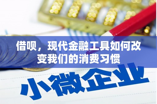 柳河借呗，现代金融工具如何改变我们的消费习惯