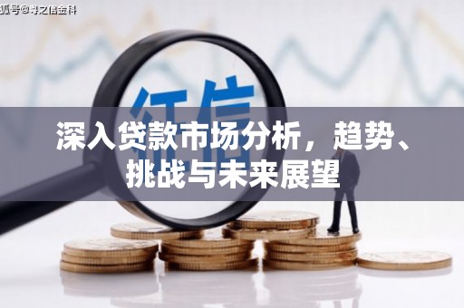 柳河深入贷款市场分析，趋势、挑战与未来展望